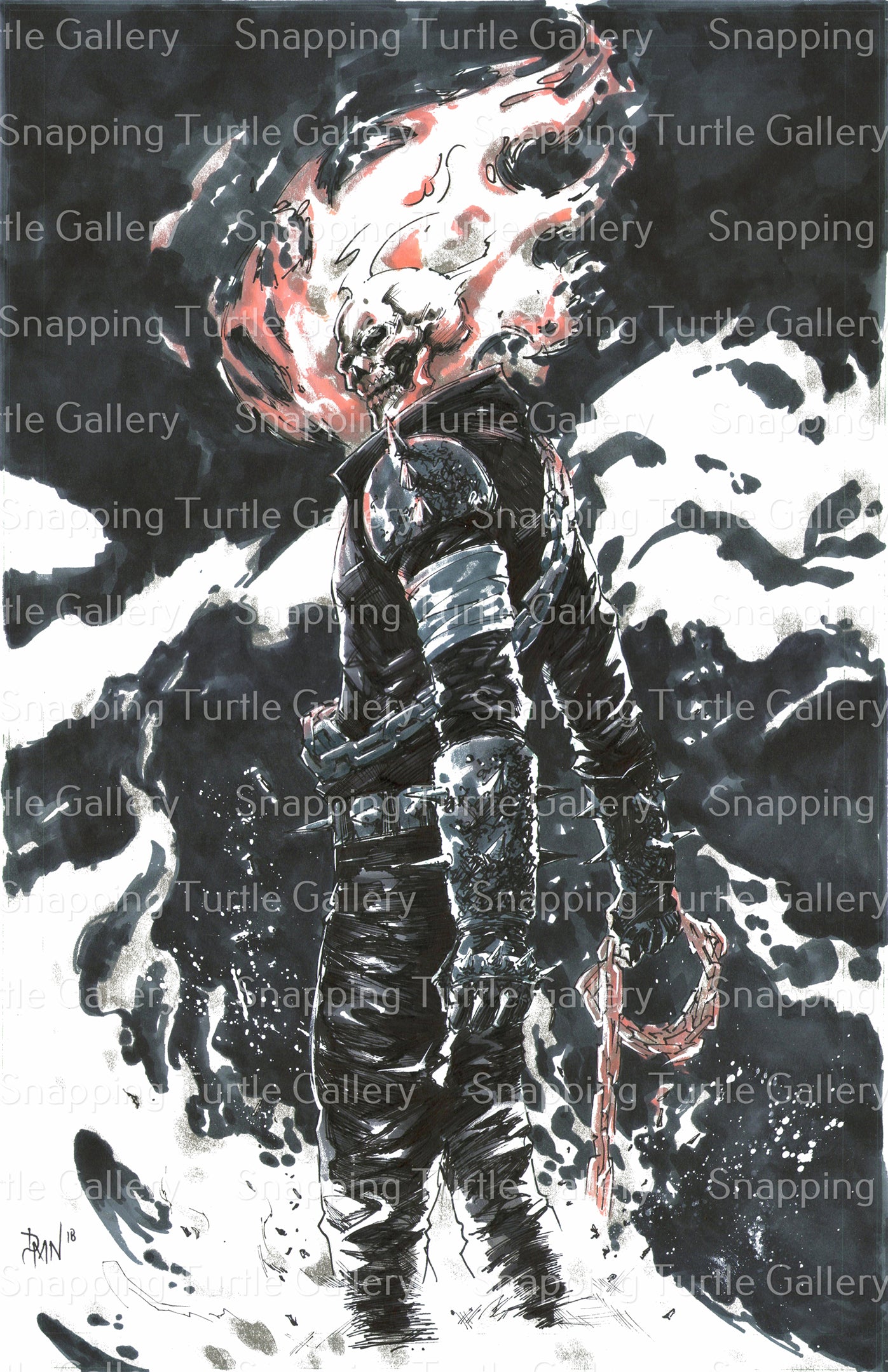 Ghost Rider Wall Art