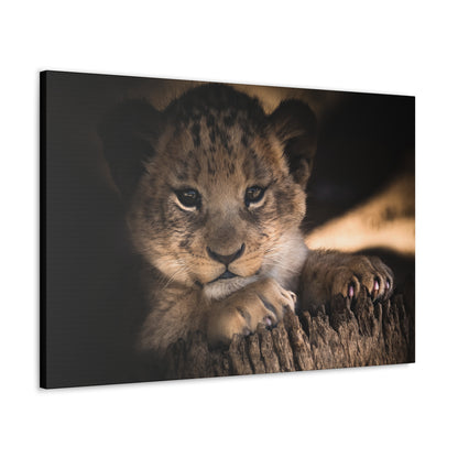 "Innocence of the Wild – Lion Cub Wall Art on canvas, acrylic, and metal – front view featuring a young lion cub in a heartwarming pose."
