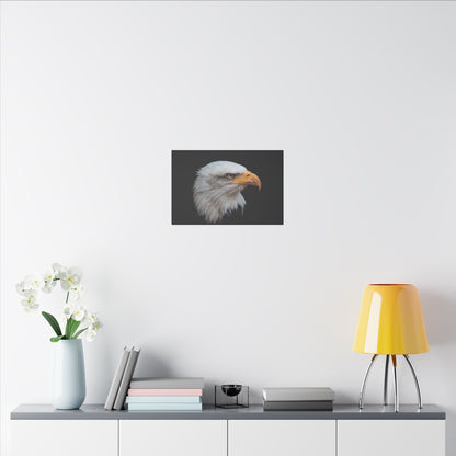 "Bald Eagle Head Wall Art on premium canvas, acrylic, and metal – front view featuring a majestic bald eagle head"

