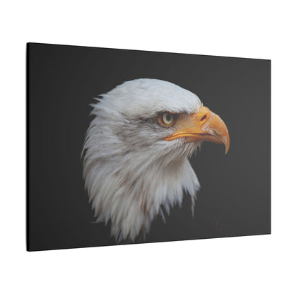 "Bald Eagle Head Wall Art on premium canvas, acrylic, and metal – front view featuring a majestic bald eagle head"

