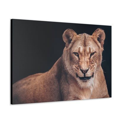 "Queen of the Wild – Female Lion Wall Art on canvas, acrylic, and metal – front view featuring a strong and majestic lioness."
