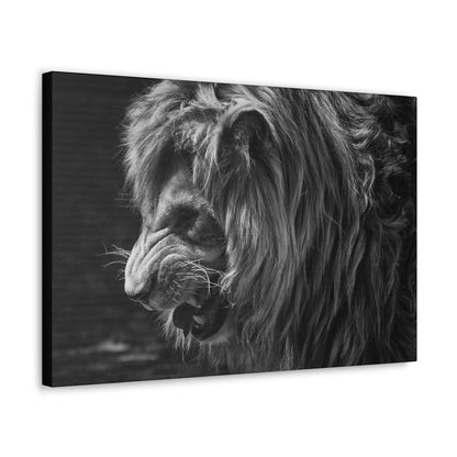 "Fierce Dominion – Snarling Lion Wall Art on canvas, acrylic, and metal – front view featuring a roaring lion with intense eyes and sharp fangs."
