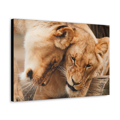 "Sisterhood of the Wild – Lioness Bond Wall Art on canvas, acrylic, and metal – front view featuring two lionesses touching heads in a heartwarming moment."
