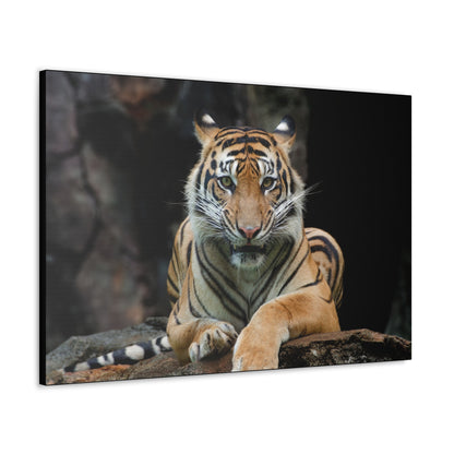 "Rock Throne – Tiger Resting on a Stone Wall Art on canvas, acrylic, and metal – front view featuring a majestic tiger lounging on a rugged rock."
