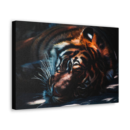 Resting Power – Tiger Laying Down Wall Art on canvas, acrylic, and metal – front view featuring a calm yet powerful tiger in repose.