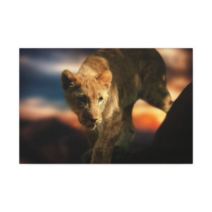 Young Majesty – Regal Young Lion Wall Art on canvas, acrylic, and metal – front view featuring a young lion with a confident and noble expression.