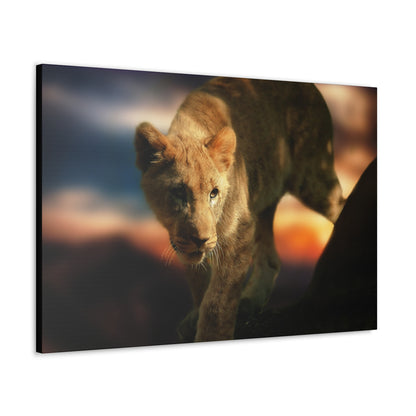 Young Majesty – Regal Young Lion Wall Art on canvas, acrylic, and metal – front view featuring a young lion with a confident and noble expression.