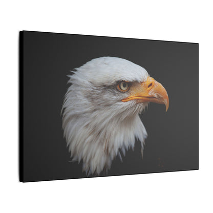 "Bald Eagle Head Wall Art on premium canvas, acrylic, and metal – front view featuring a majestic bald eagle head"

