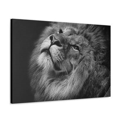 Monochrome Majesty – Black and White Lion Wall Art on canvas, acrylic, and metal – front view featuring a high-contrast lion portrait in grayscale.