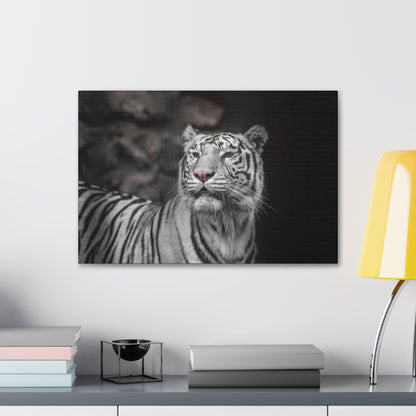 Embrace the mystique of Ghost Stripes, a black and white white tiger wall print. Available on canvas, acrylic & metal. Shop now at STG Collection!

