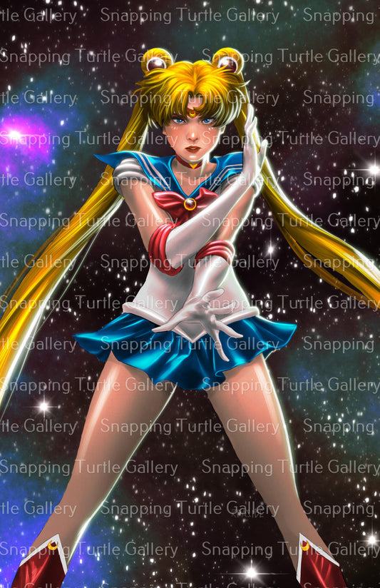 Sailor Moon Wall Art