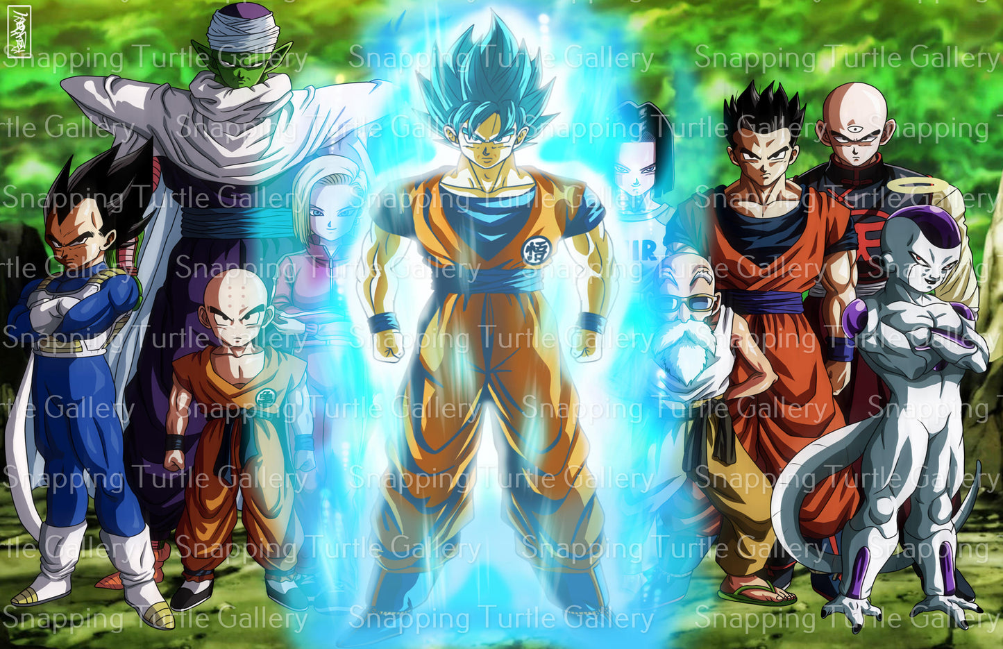 Dragon Ball Super Fighters Wall Art