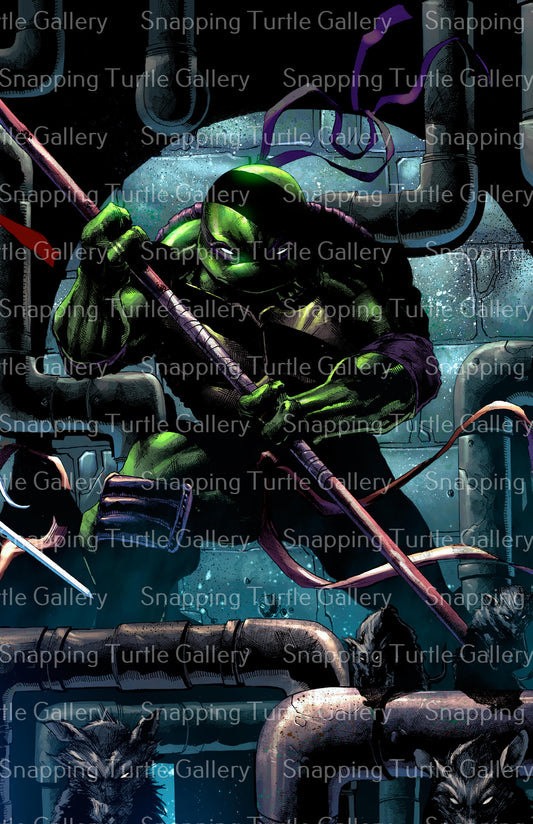 Donatello in the Sewers Wall Art