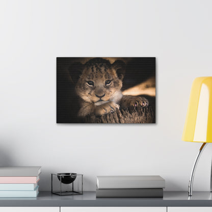 "Innocence of the Wild – Lion Cub Wall Art on canvas, acrylic, and metal – front view featuring a young lion cub in a heartwarming pose."
