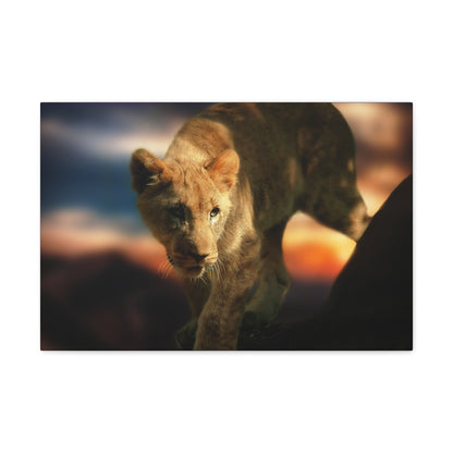 Young Majesty – Regal Young Lion Wall Art on canvas, acrylic, and metal – front view featuring a young lion with a confident and noble expression.