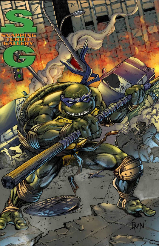 Battle With Donatello - Teenage Mutant Ninja Turtles - Snapping Turtle Gallery