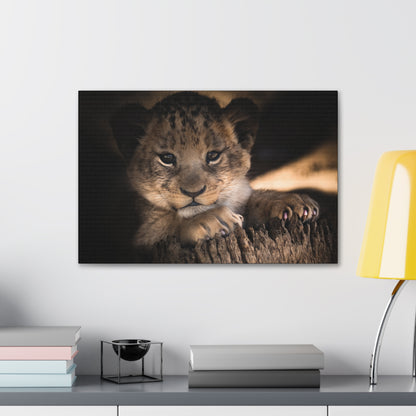 "Innocence of the Wild – Lion Cub Wall Art on canvas, acrylic, and metal – front view featuring a young lion cub in a heartwarming pose."
