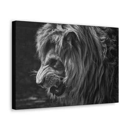"Fierce Dominion – Snarling Lion Wall Art on canvas, acrylic, and metal – front view featuring a roaring lion with intense eyes and sharp fangs."
