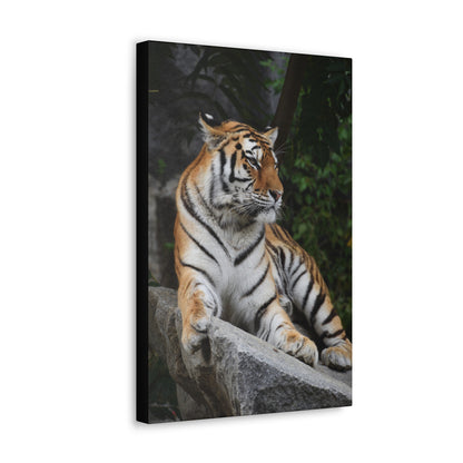 "Stone Throne – Tiger Resting on a Rock Wall Art on canvas, acrylic, and metal – front view featuring a powerful tiger reclining on a rugged rock."
