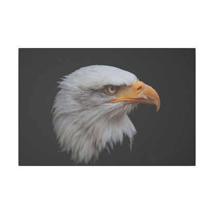 "Bald Eagle Head Wall Art on premium canvas, acrylic, and metal – front view featuring a majestic bald eagle head"

