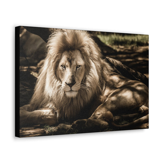 "Monarch’s Rest – Great Lion Under a Tree Wall Art on canvas, acrylic, and metal – front view featuring a majestic lion resting under a tree."
