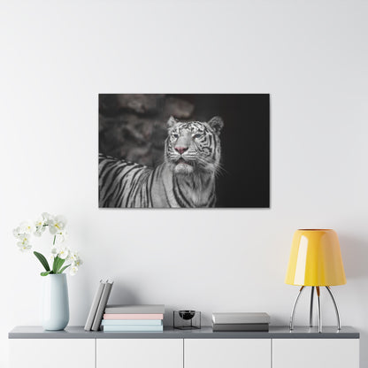 Embrace the mystique of Ghost Stripes, a black and white white tiger wall print. Available on canvas, acrylic & metal. Shop now at STG Collection!

