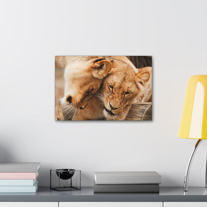 "Sisterhood of the Wild – Lioness Bond Wall Art on canvas, acrylic, and metal – front view featuring two lionesses touching heads in a heartwarming moment."
