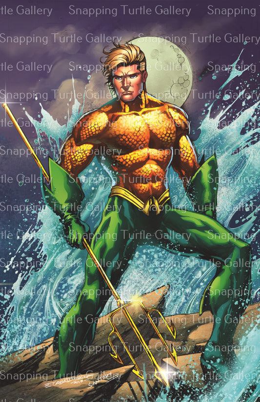 Aquaman Wall Art