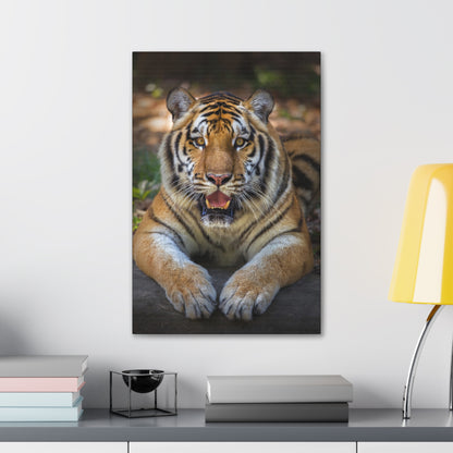 "Wild Resilience – Panting Tiger Wall Art on canvas, acrylic, and metal – front view featuring a fierce tiger mid-pant with intense eyes."
