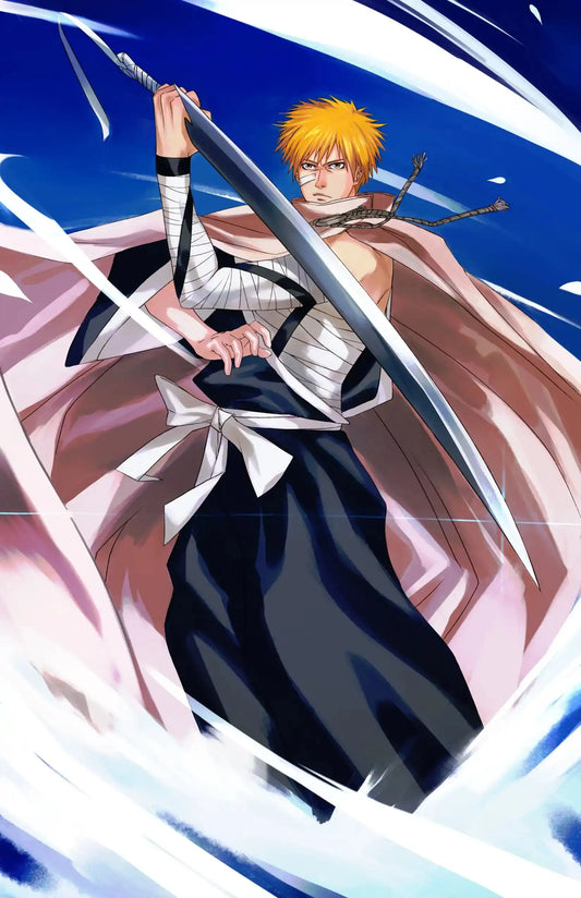 Substitute Soul Reaper Ichigo - Snapping Turtle Gallery