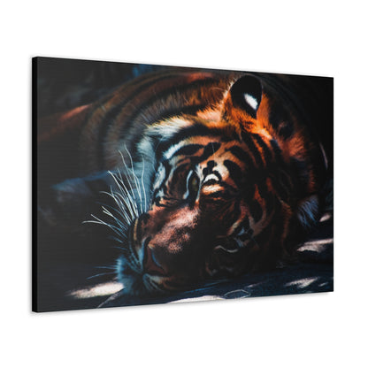 Resting Power – Tiger Laying Down Wall Art on canvas, acrylic, and metal – front view featuring a calm yet powerful tiger in repose.