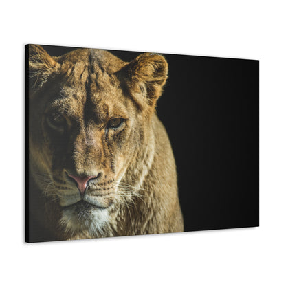 "Silent Huntress – Female Lion on the Prowl Wall Art on canvas, acrylic, and metal – front view featuring a lioness stalking her prey."
