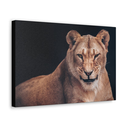 "Queen of the Wild – Female Lion Wall Art on canvas, acrylic, and metal – front view featuring a strong and majestic lioness."
