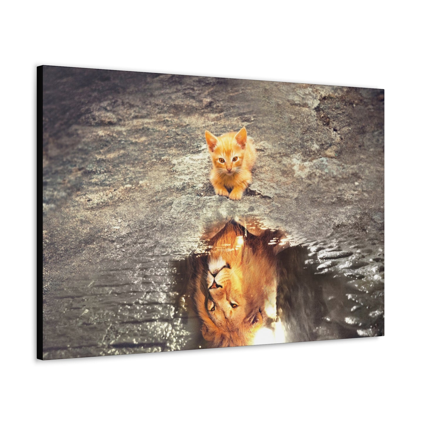Dream Big – Kitten with Lion Reflection Wall Art on canvas, acrylic, and metal – front view featuring a kitten looking at its reflection, which appears as a lion.