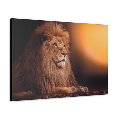 "Golden Majesty – Lion Resting with Sunlit Background Wall Art on canvas, acrylic, and metal – front view featuring a powerful lion against a glowing sun."
