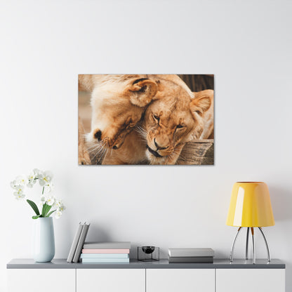 "Sisterhood of the Wild – Lioness Bond Wall Art on canvas, acrylic, and metal – front view featuring two lionesses touching heads in a heartwarming moment."
