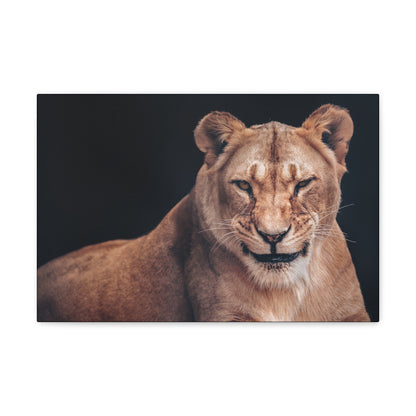 "Queen of the Wild – Female Lion Wall Art on canvas, acrylic, and metal – front view featuring a strong and majestic lioness."
