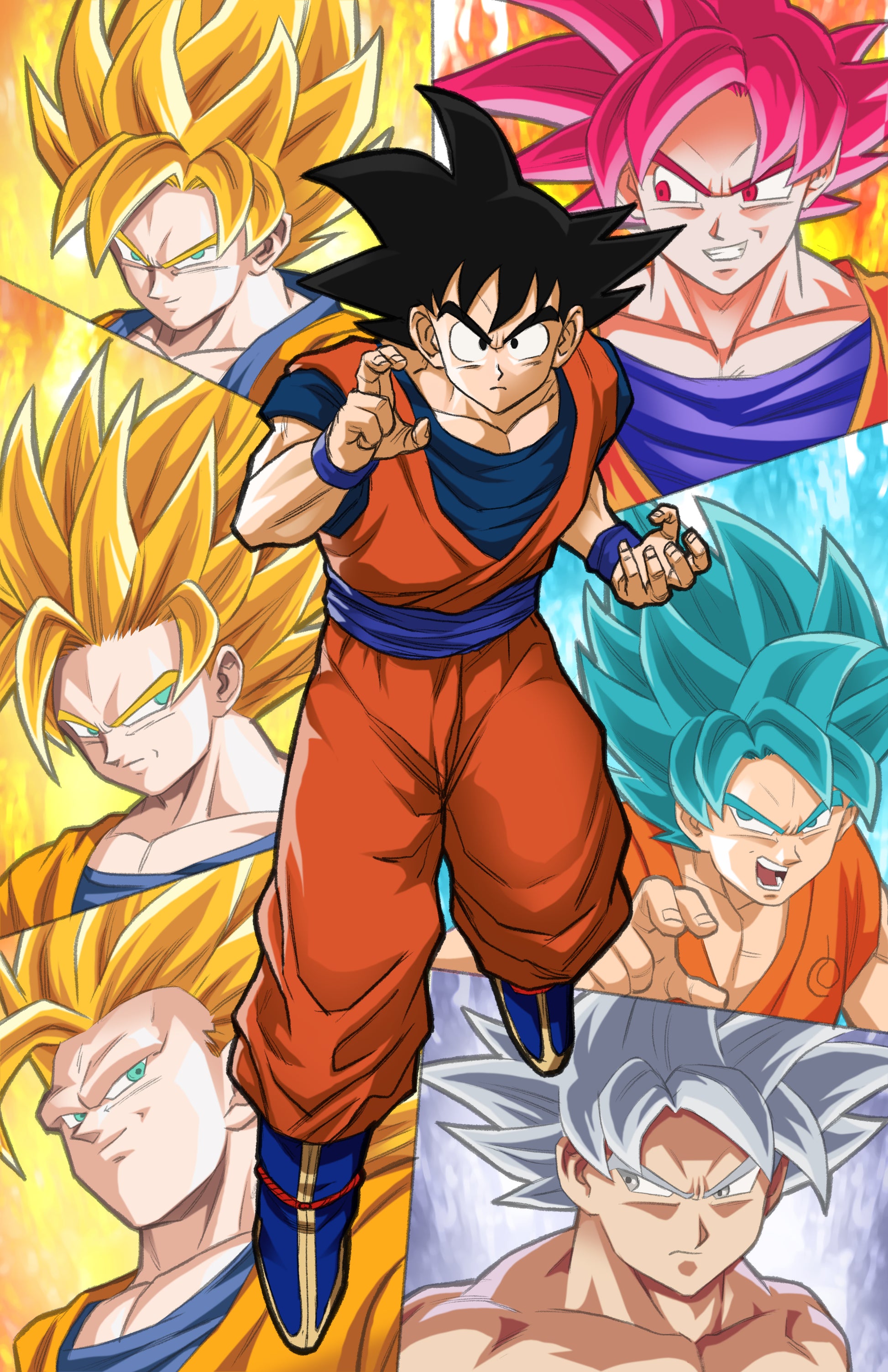 Transformations of Goku - Snapping Turtle Gallery