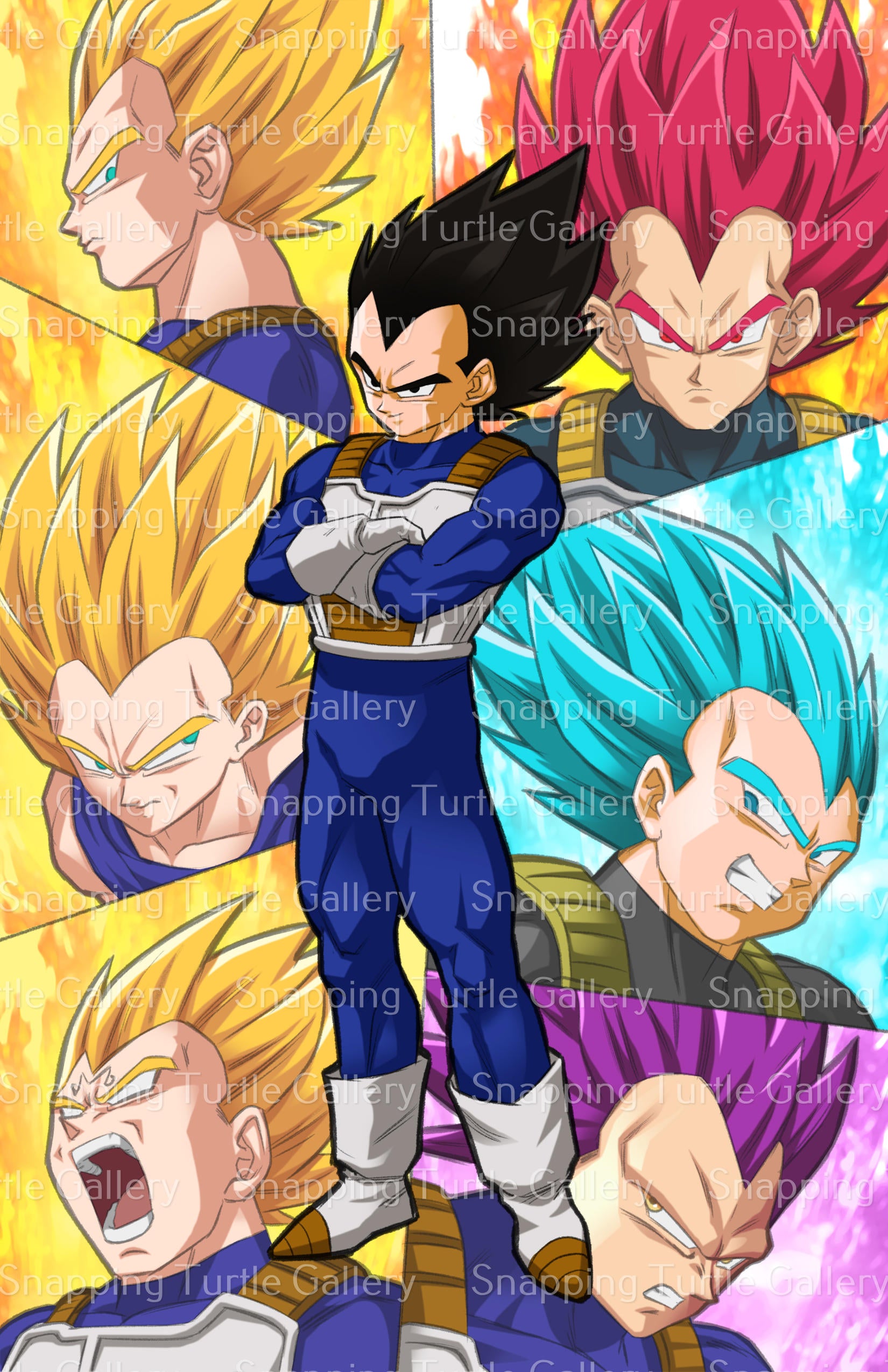 Transformations of Vegeta - Snapping Turtle Gallery