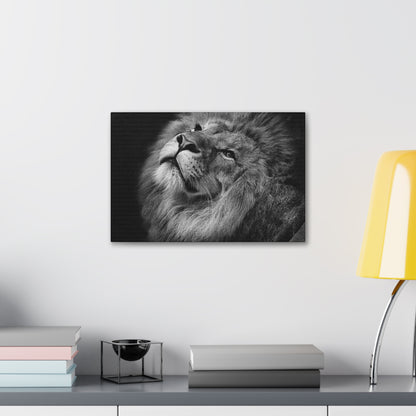 Monochrome Majesty – Black and White Lion Wall Art on canvas, acrylic, and metal – front view featuring a high-contrast lion portrait in grayscale.