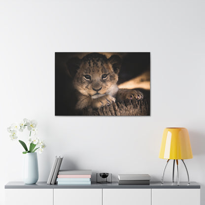 "Innocence of the Wild – Lion Cub Wall Art on canvas, acrylic, and metal – front view featuring a young lion cub in a heartwarming pose."
