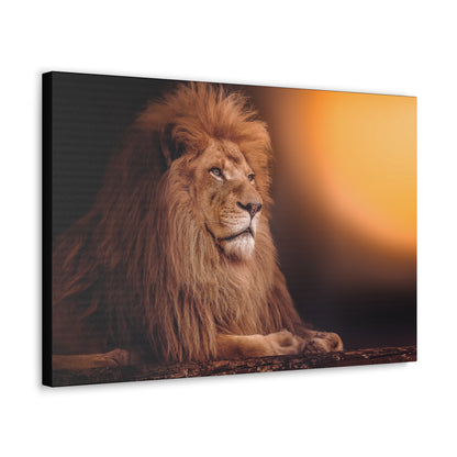"Golden Majesty – Lion Resting with Sunlit Background Wall Art on canvas, acrylic, and metal – front view featuring a powerful lion against a glowing sun."
