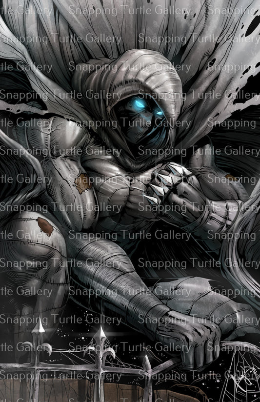 Moon Knight Snapping Turtle Gallery