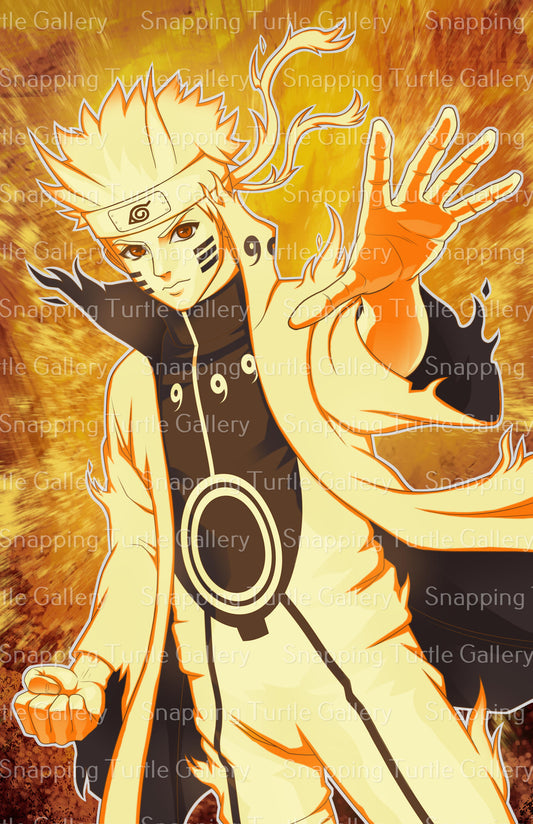 Naruto Snapping Turtle Gallery