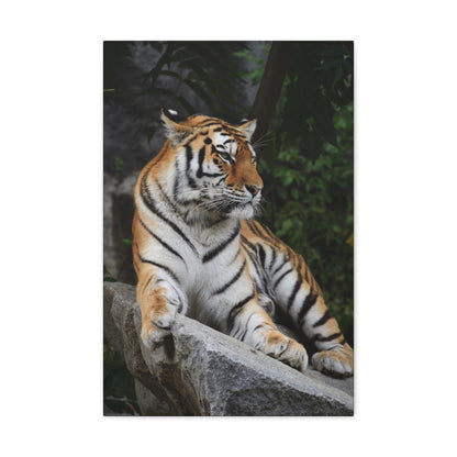 "Stone Throne – Tiger Resting on a Rock Wall Art on canvas, acrylic, and metal – front view featuring a powerful tiger reclining on a rugged rock."
