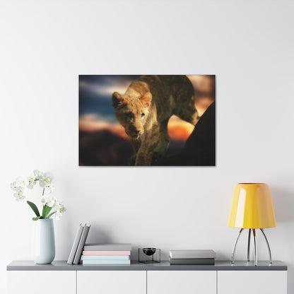 Young Majesty – Regal Young Lion Wall Art on canvas, acrylic, and metal – front view featuring a young lion with a confident and noble expression.
