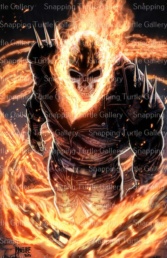 Blazing Ghost Rider - Snapping Turtle Gallery