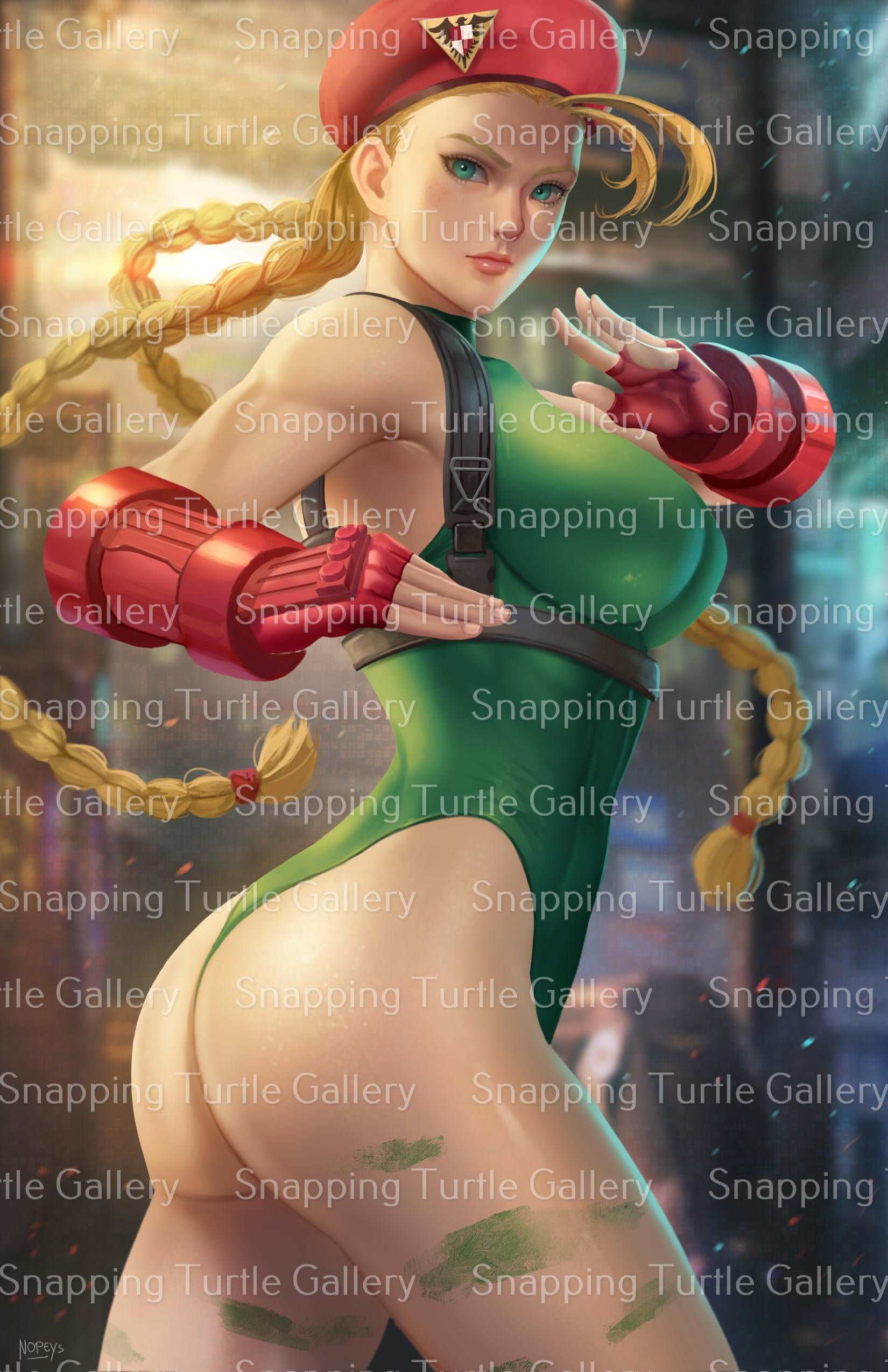 Cammy Battle Ready - Street Fighter - Snapping Turtle Gallery