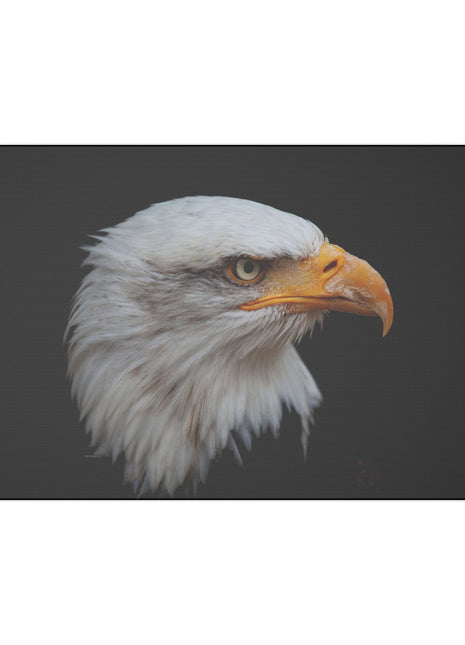 Bald Eagle Art | Acrylic, Metal & Canvas - Snapping Turtle Gallery