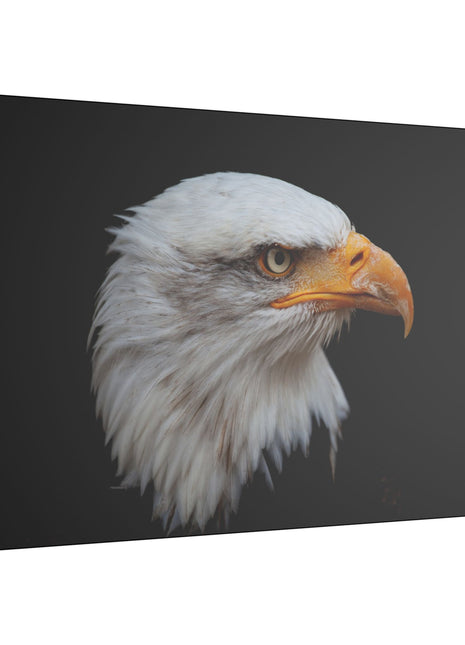 Bald Eagle Art | Acrylic, Metal & Canvas - Snapping Turtle Gallery